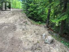 5621 Highway 23, Nakusp, British Columbia V0G 1R1 - Photo 8 - 2472858