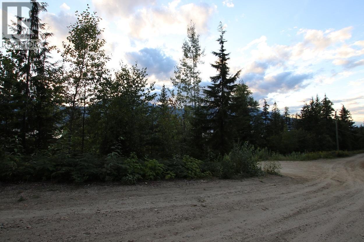5621 Highway 23, Nakusp, British Columbia V0G 1R1 - Photo 19 - 2472858