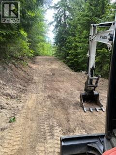 5621 Highway 23, Nakusp, British Columbia V0G 1R1 - Photo 6 - 2472858