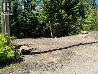 5621 Highway 23, Nakusp, British Columbia V0G 1R1 - Photo 7 - 2472858