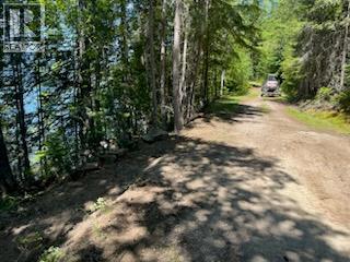 5621 Highway 23, Nakusp, British Columbia V0G 1R1 - Photo 4 - 2472858