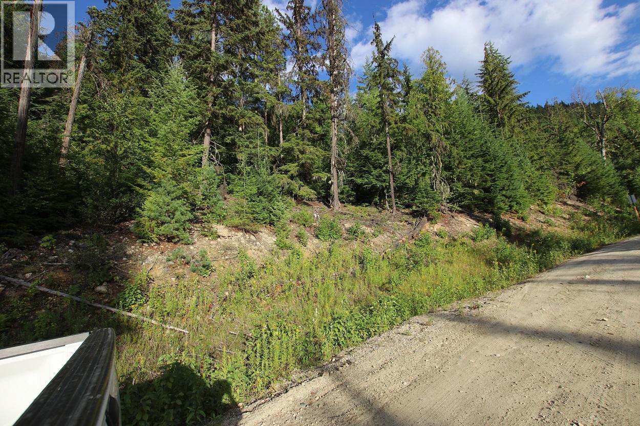 5621 Highway 23, Nakusp, British Columbia V0G 1R1 - Photo 21 - 2472858