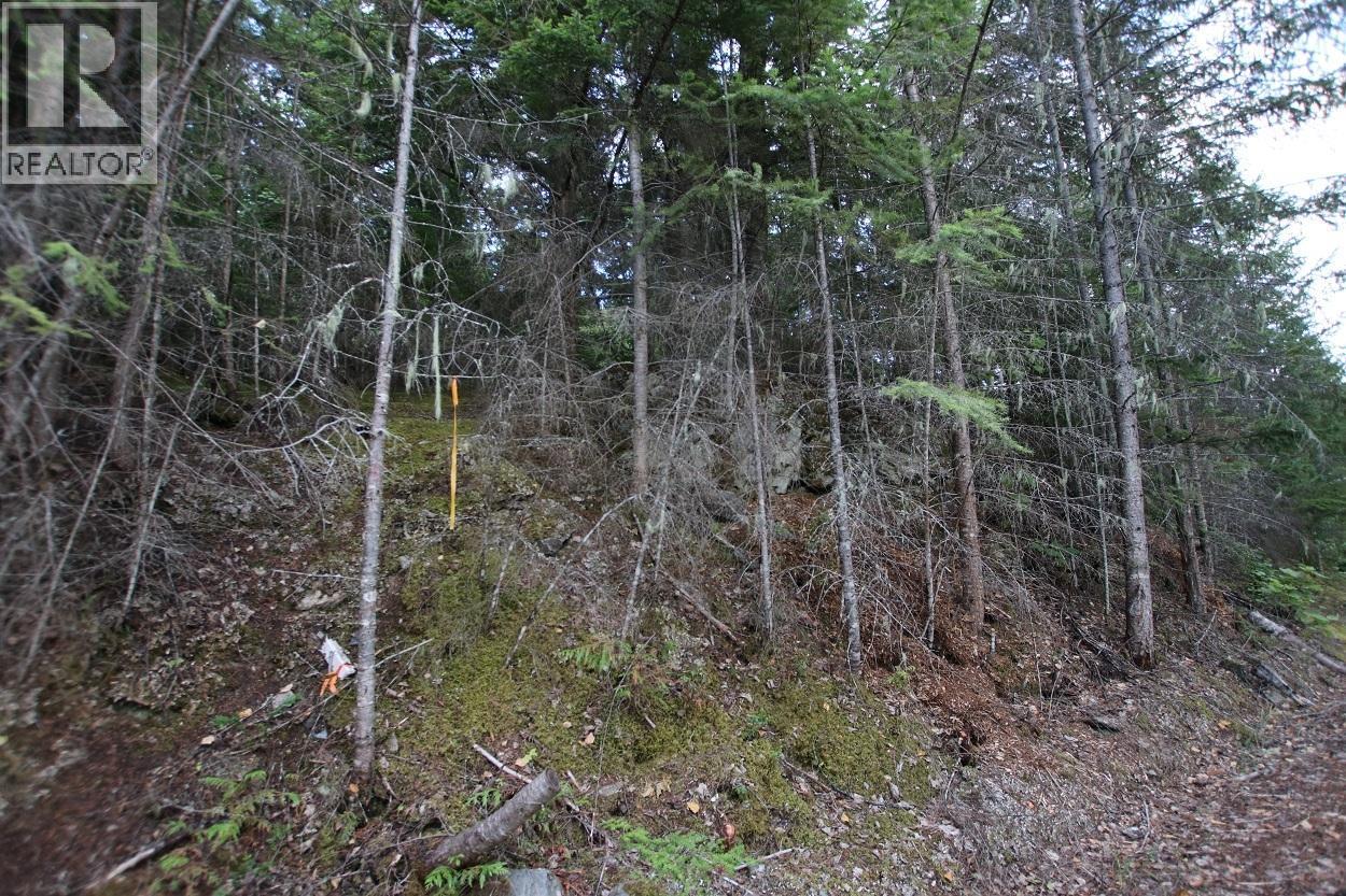 5621 Highway 23, Nakusp, British Columbia V0G 1R1 - Photo 11 - 2472858