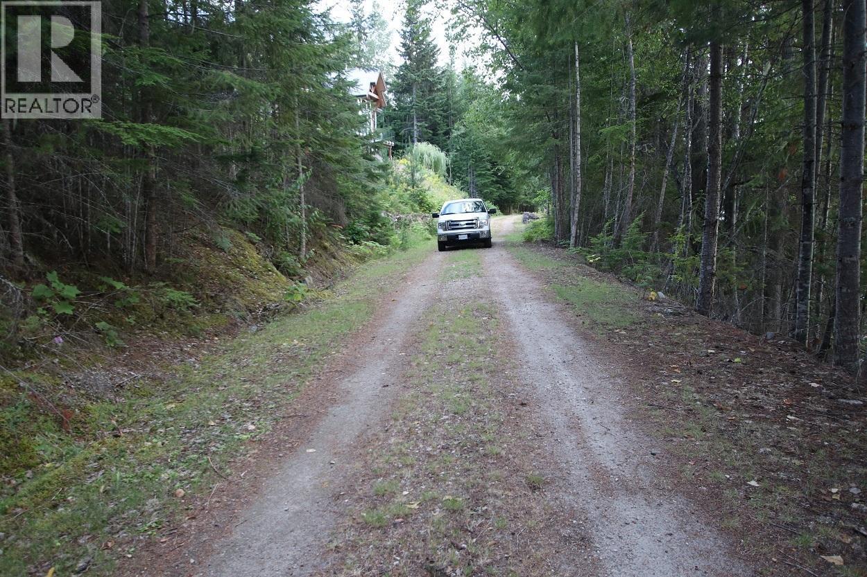 5621 Highway 23, Nakusp, British Columbia V0G 1R1 - Photo 14 - 2472858