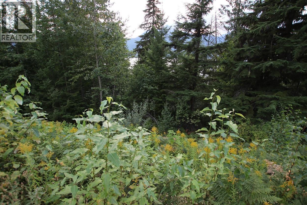 5621 Highway 23, Nakusp, British Columbia V0G 1R1 - Photo 22 - 2472858