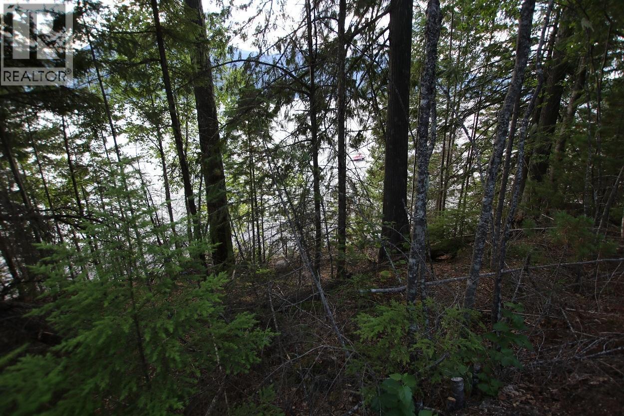 5621 Highway 23, Nakusp, British Columbia V0G 1R1 - Photo 10 - 2472858