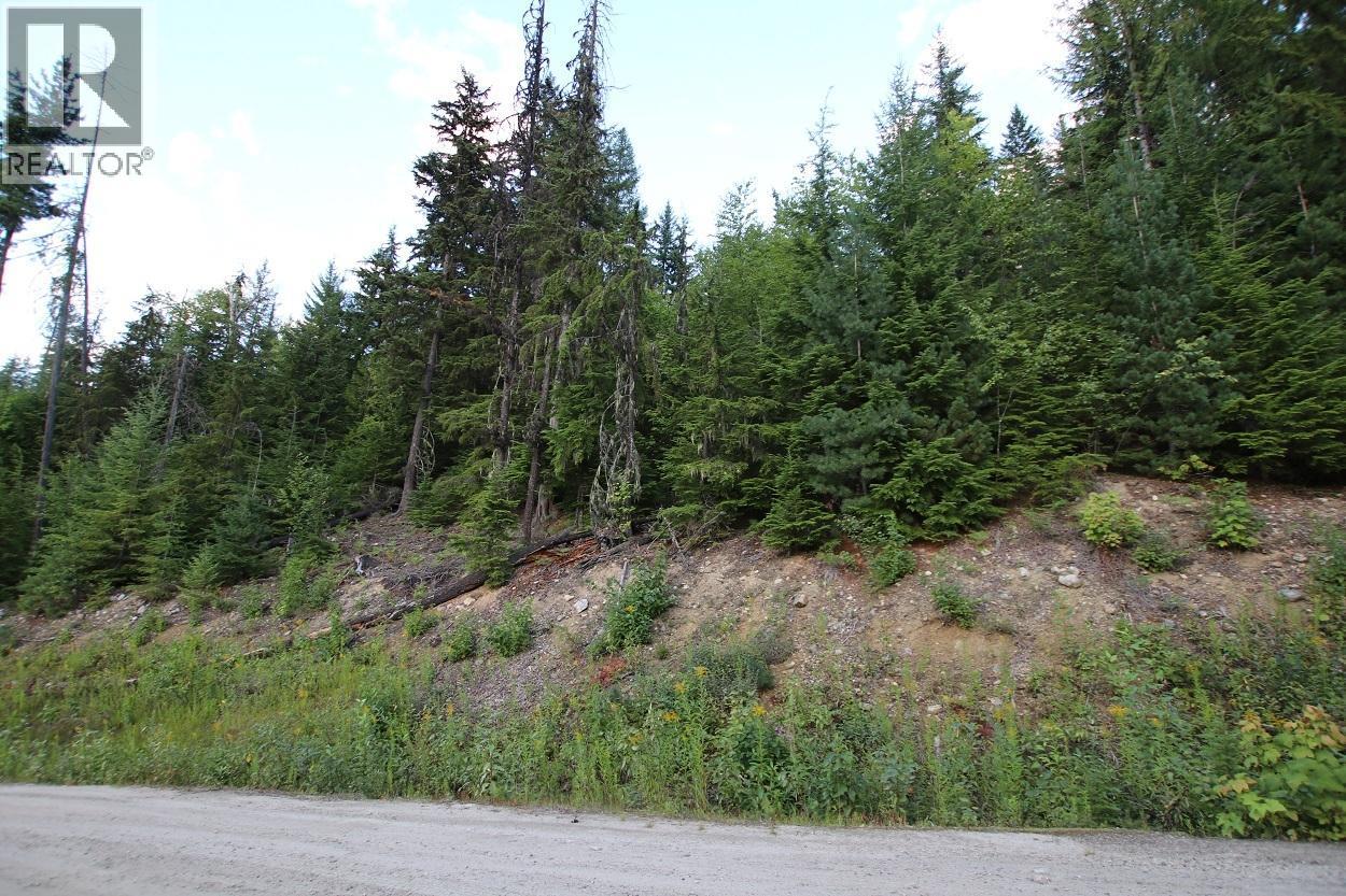 5621 Highway 23, Nakusp, British Columbia V0G 1R1 - Photo 20 - 2472858