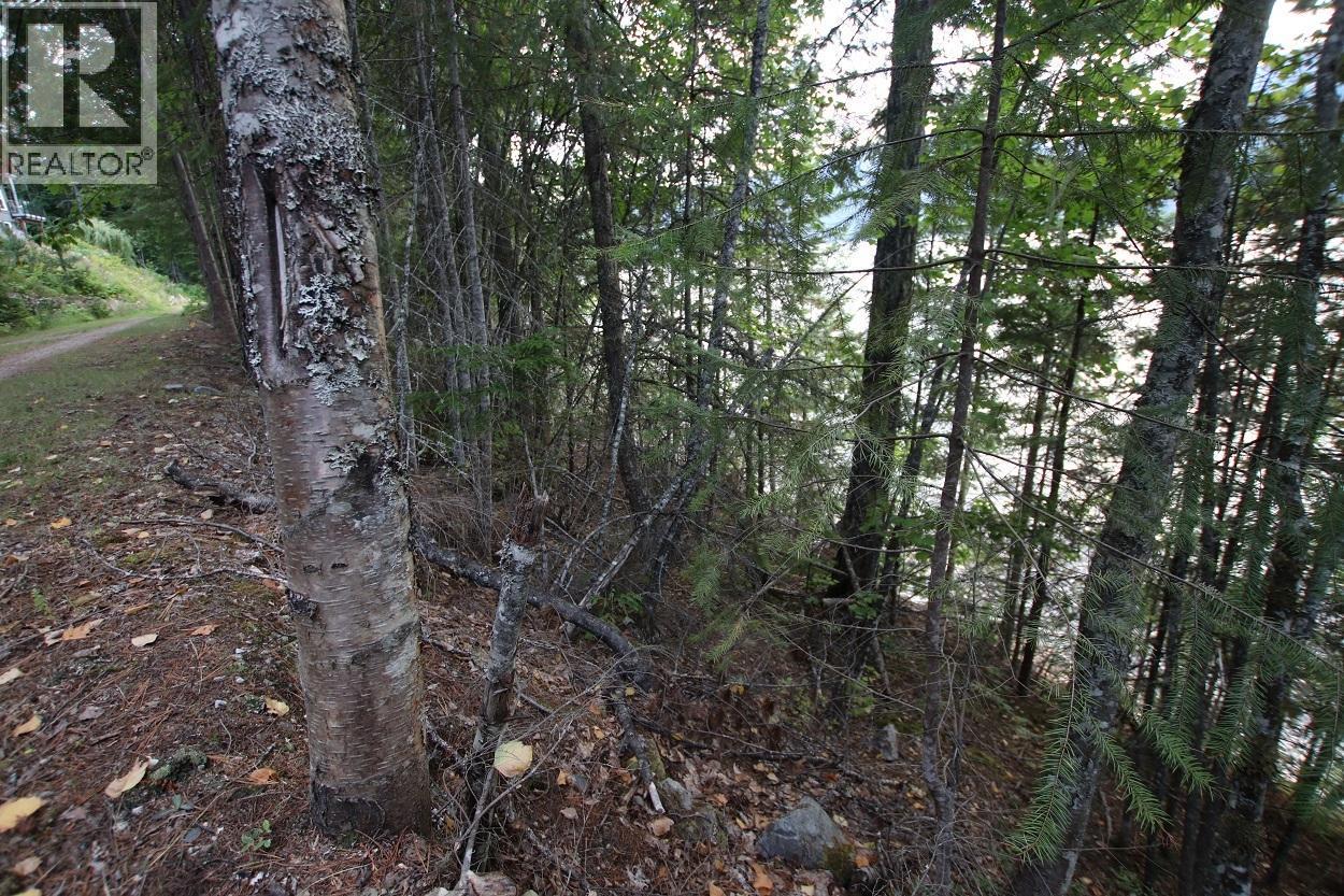 5621 Highway 23, Nakusp, British Columbia V0G 1R1 - Photo 15 - 2472858