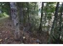 5621 Highway 23, Nakusp, BC V0G 1R1