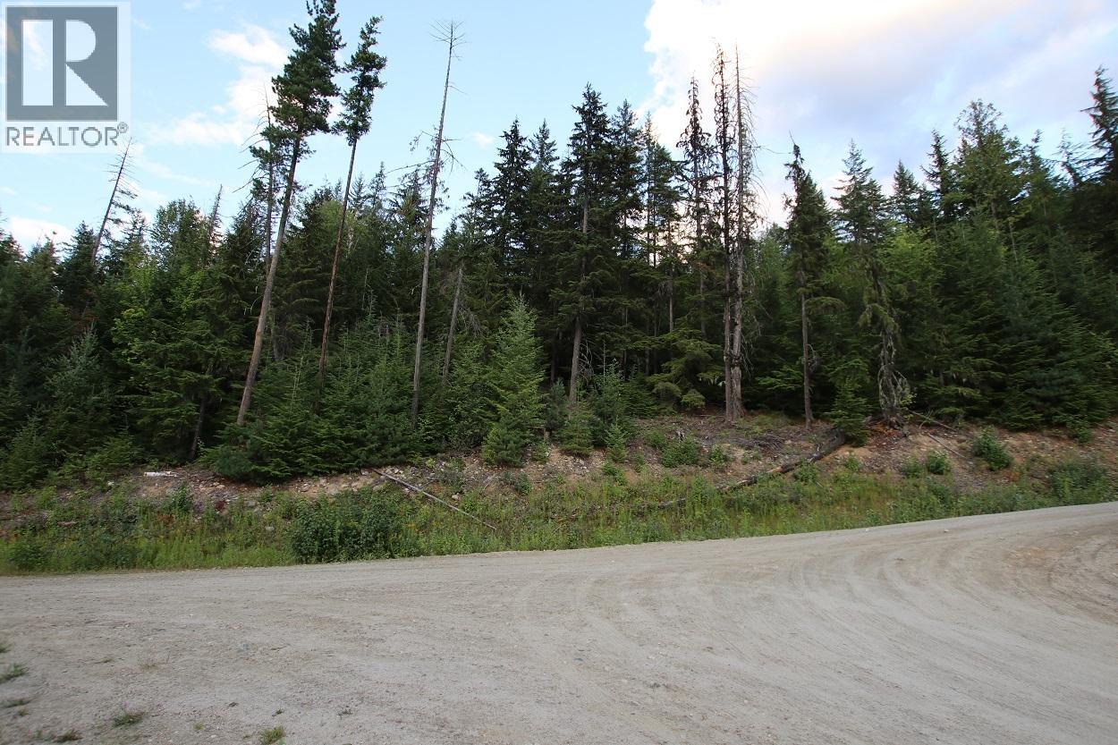 5621 Highway 23, Nakusp, British Columbia V0G 1R1 - Photo 18 - 2472858