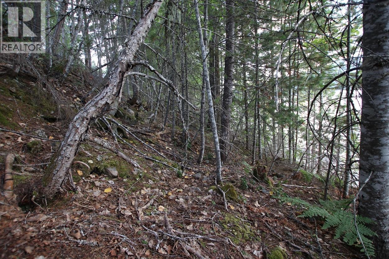 5621 Highway 23, Nakusp, British Columbia V0G 1R1 - Photo 12 - 2472858
