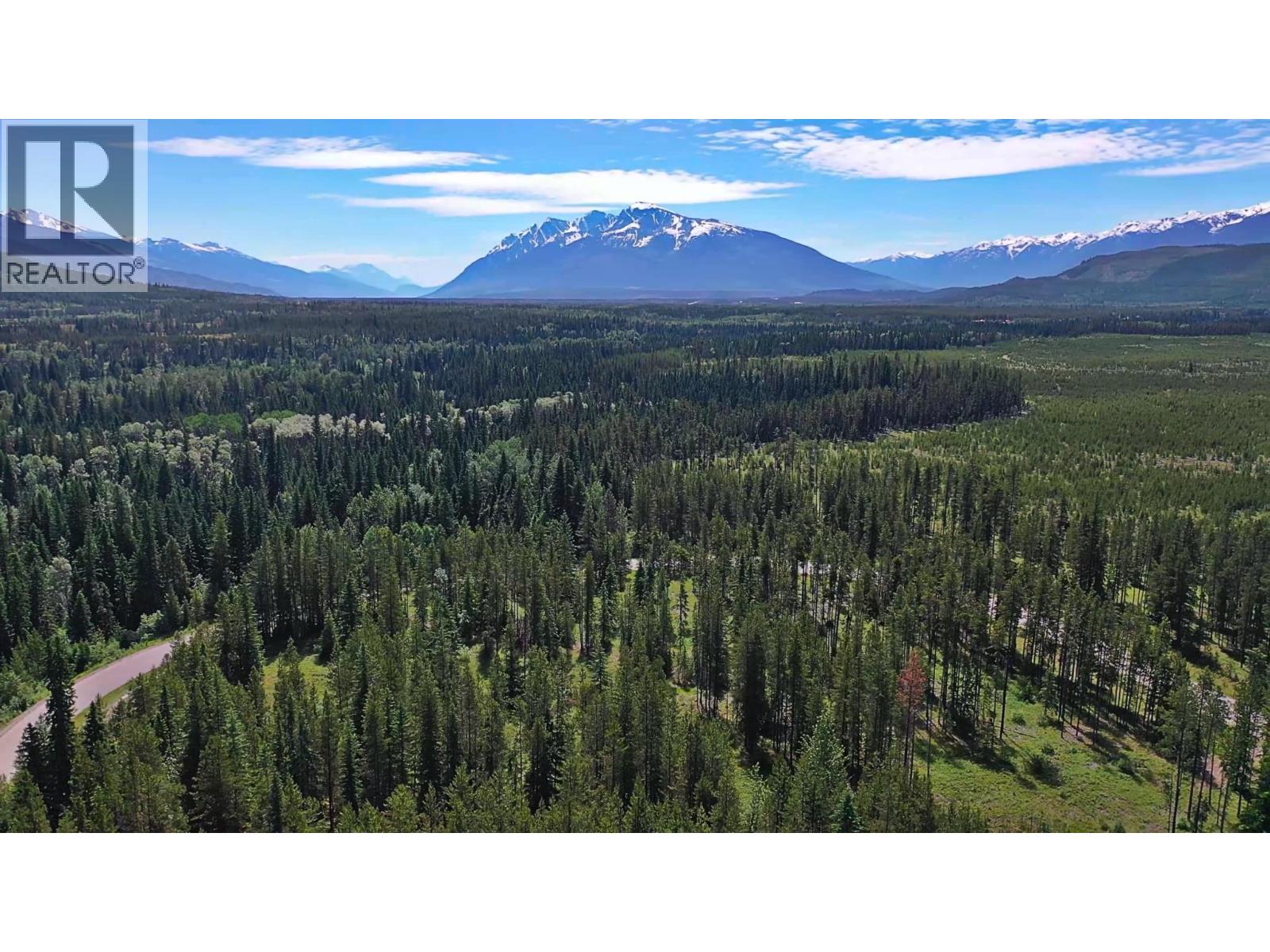 Lot 4 Crooked Creek Road, Valemount, British Columbia  V0E 2Z0 - Photo 4 - R3156054