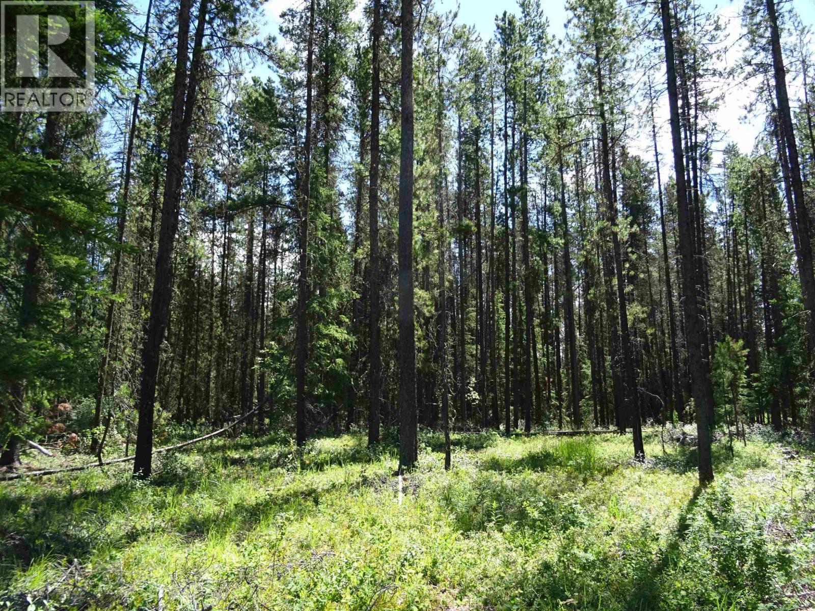 Lot 4 Crooked Creek Road, Valemount, British Columbia  V0E 2Z0 - Photo 9 - R3156054
