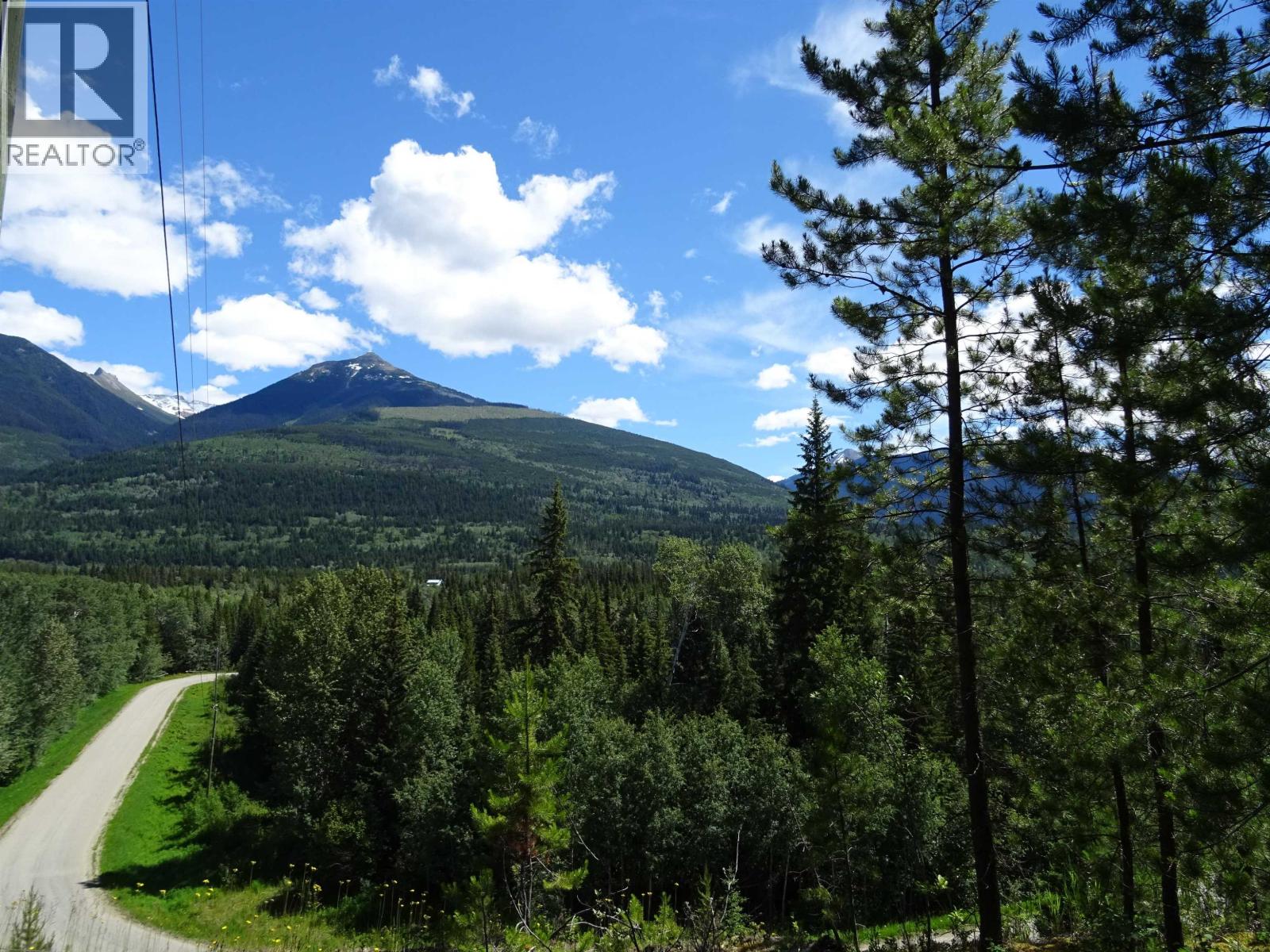 Lot 4 Crooked Creek Road, Valemount, British Columbia  V0E 2Z0 - Photo 10 - R3156054