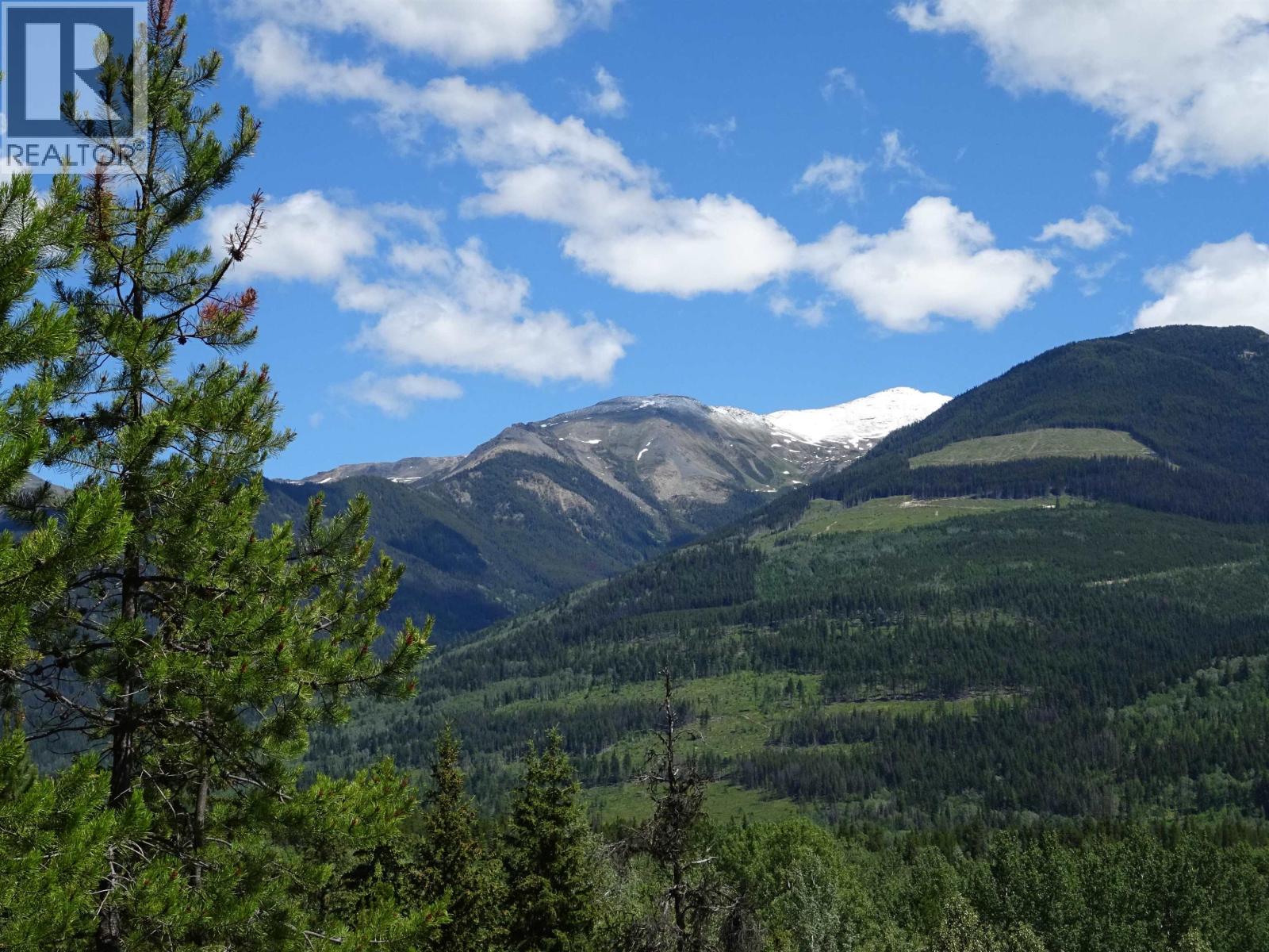 Lot 4 Crooked Creek Road, Valemount, British Columbia  V0E 2Z0 - Photo 8 - R3156054