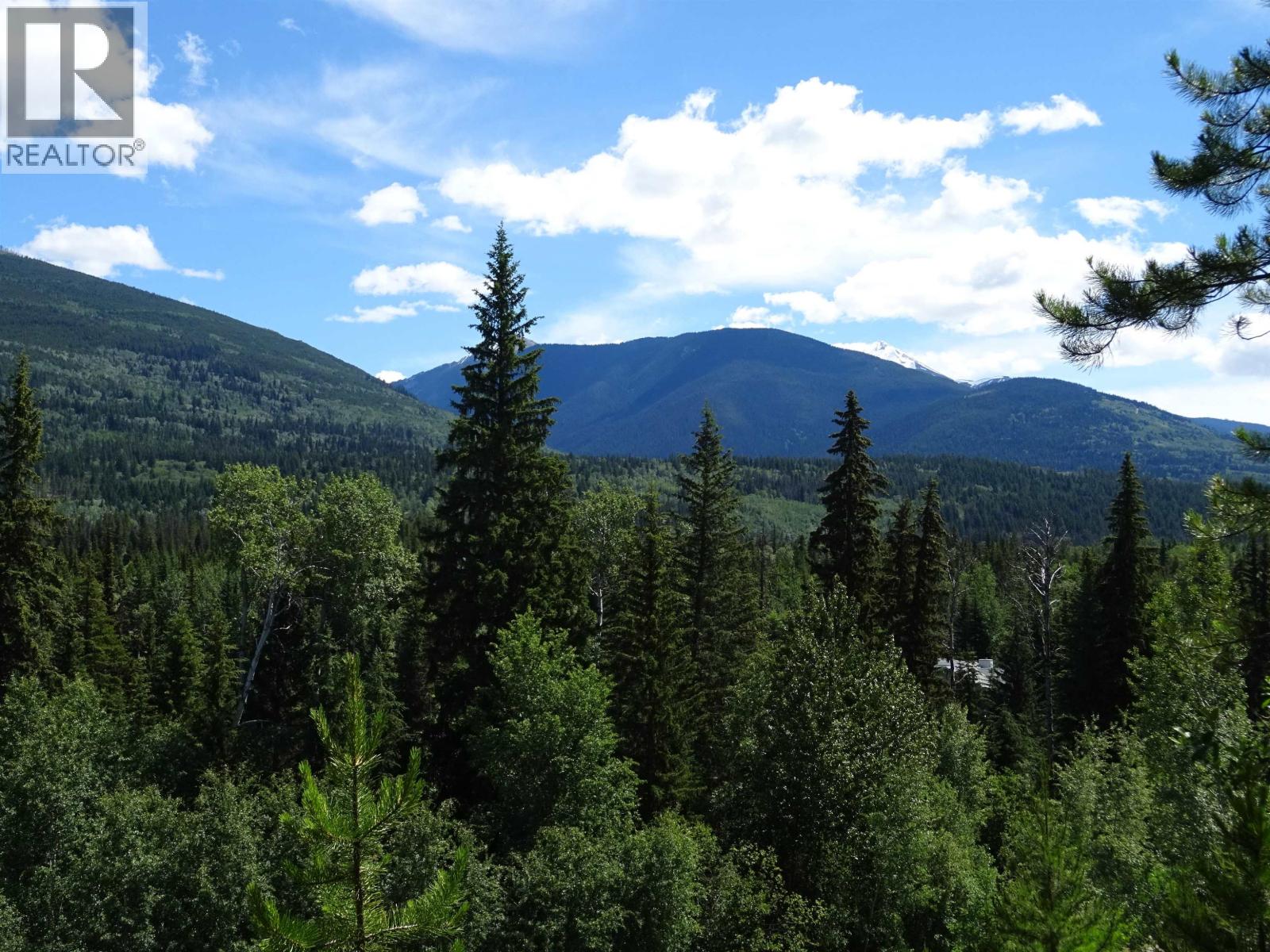 Lot 4 Crooked Creek Road, Valemount, British Columbia  V0E 2Z0 - Photo 11 - R3156054