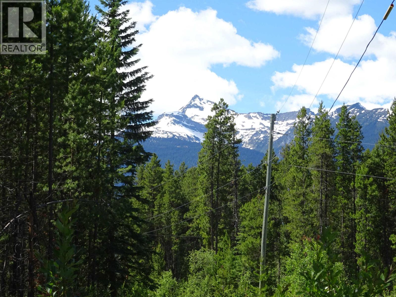 Lot 4 Crooked Creek Road, Valemount, British Columbia  V0E 2Z0 - Photo 12 - R3156054