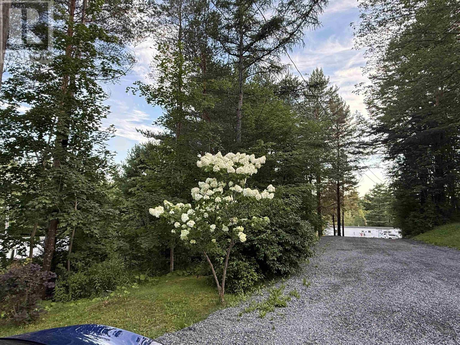 7101 Highway 14, Nine Mile River, Nova Scotia  B2S 2V5 - Photo 37 - 202621131
