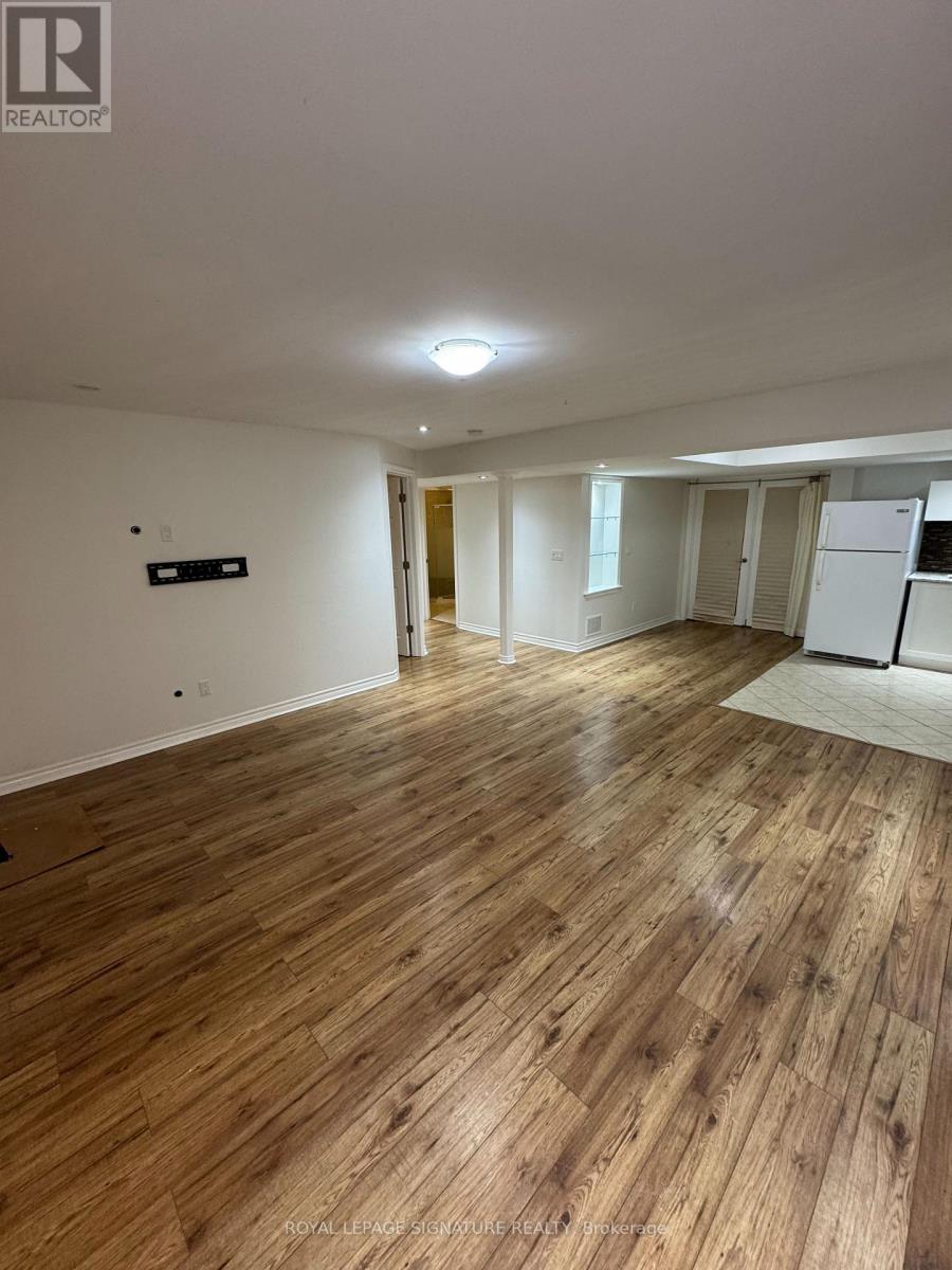 Basement-B - 301 Peregrine Way, Milton, Ontario  L9T 7N6 - Photo 4 - W13696960