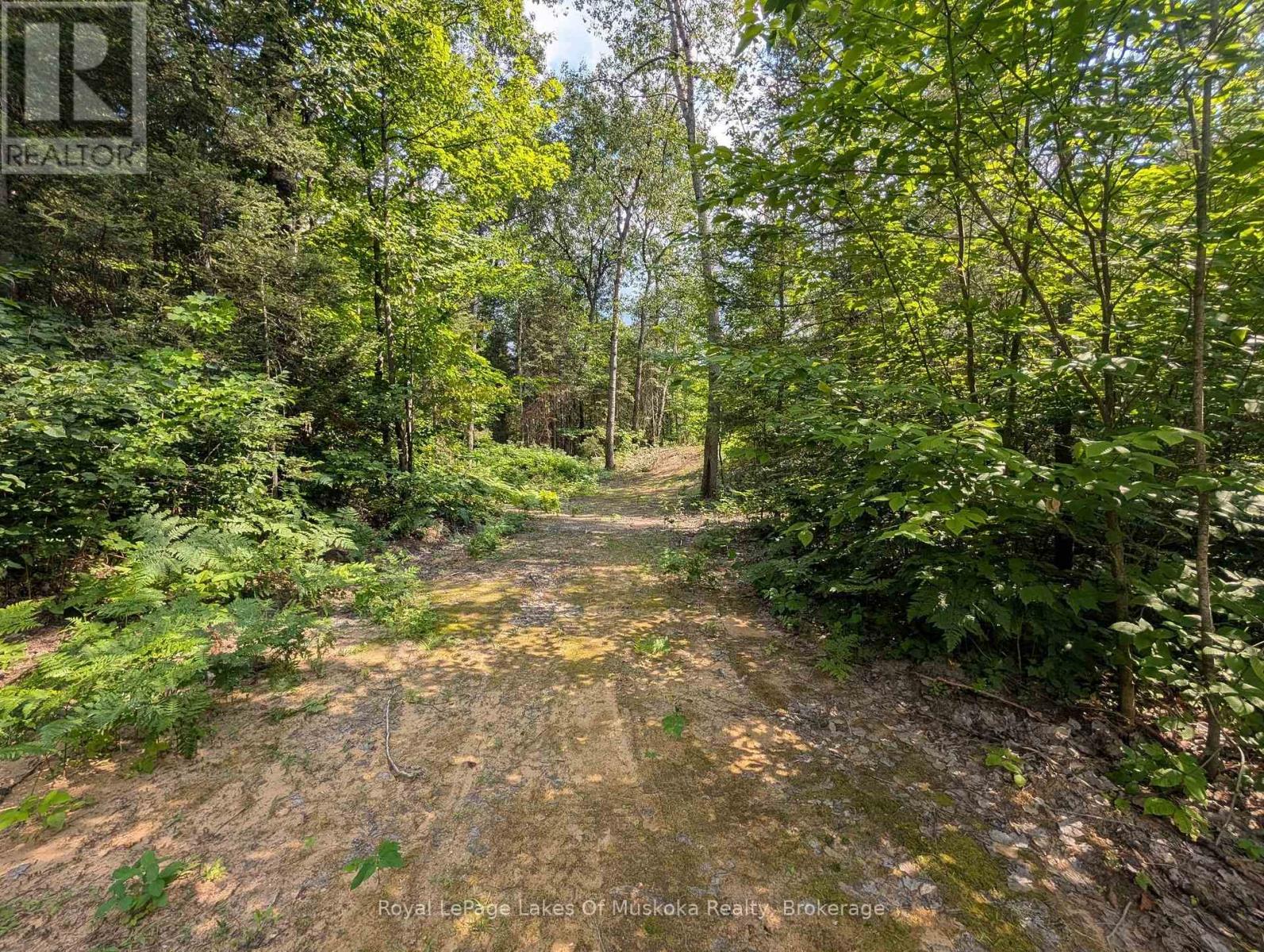 0 Forest Lake Road, Joly, Ontario  P0A 1X0 - Photo 10 - X13697160