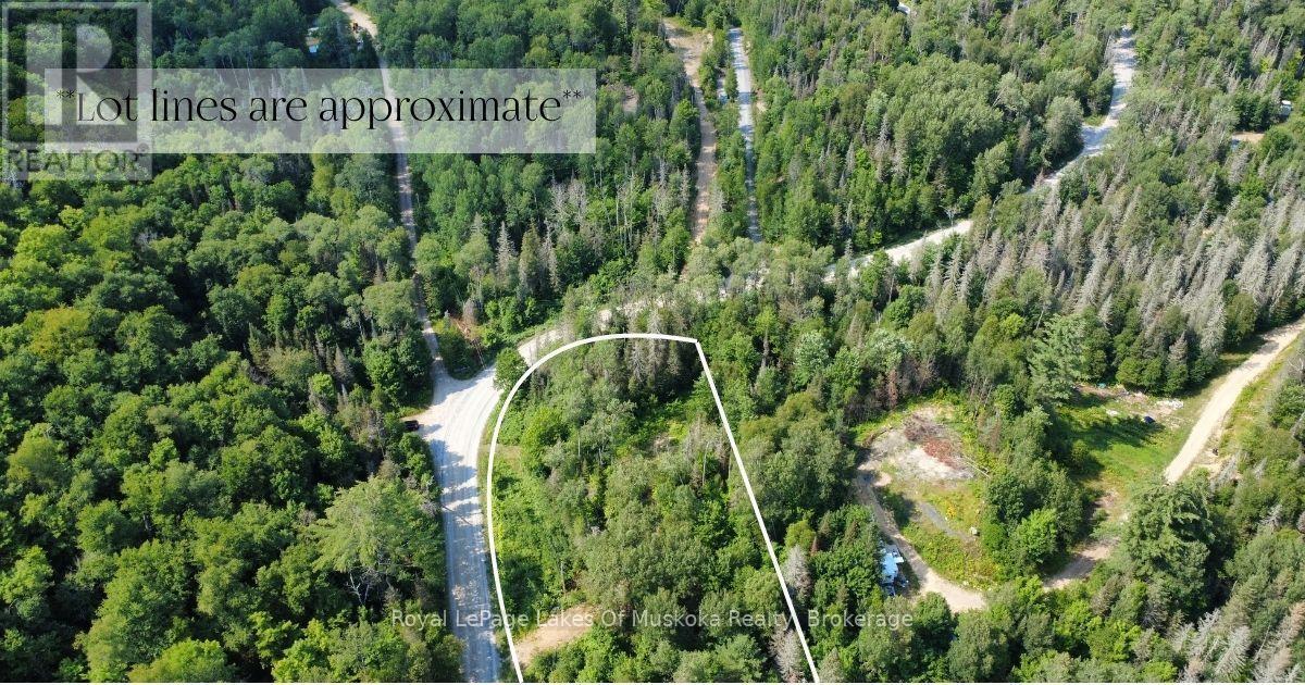 0 Forest Lake Road, Joly, Ontario  P0A 1X0 - Photo 4 - X13697160