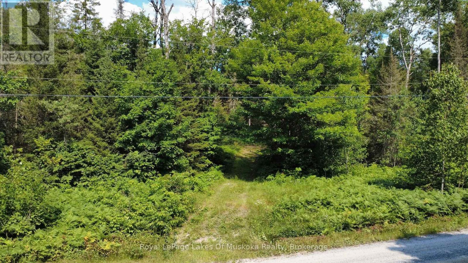 0 Forest Lake Road, Joly, Ontario  P0A 1X0 - Photo 7 - X13697160