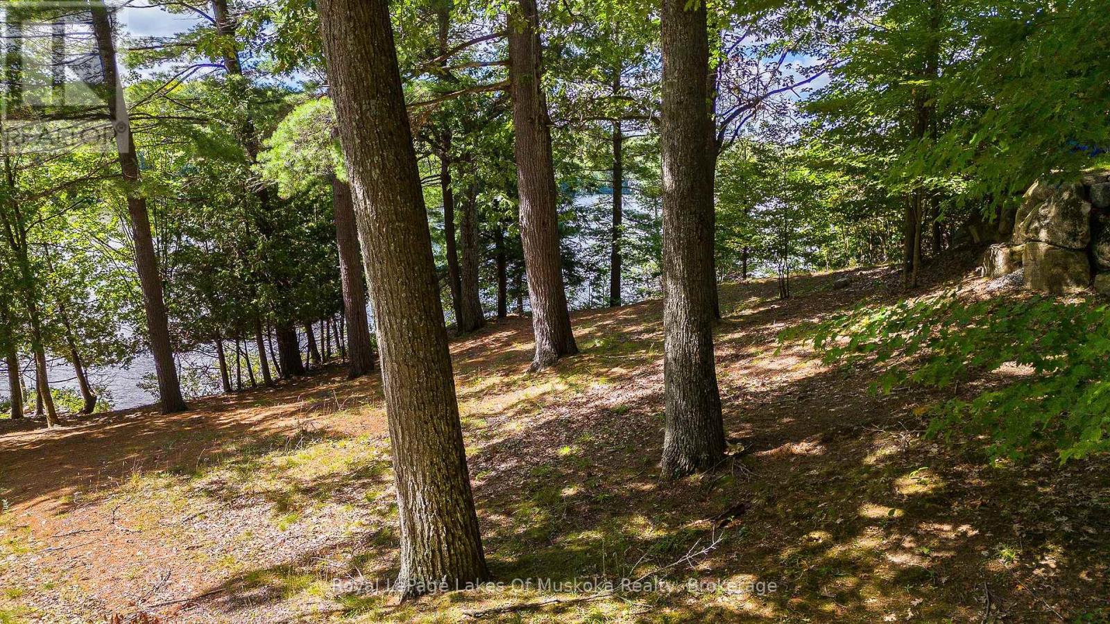 25-1235 Shea Road, Muskoka Lakes, Ontario  P0B 0A2 - Photo 43 - X13697178