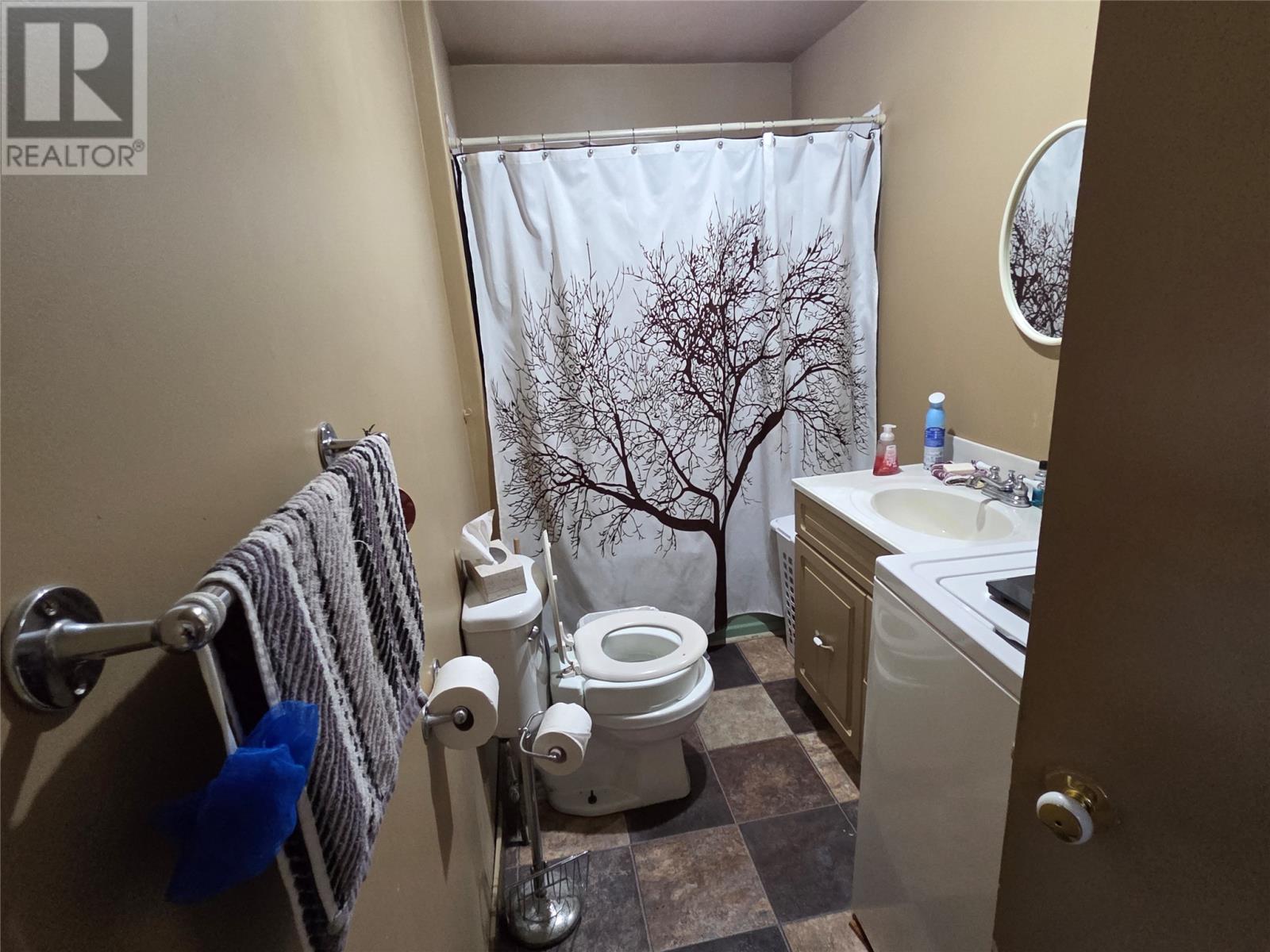 559 Main Street, Bishop's Falls — photo 29