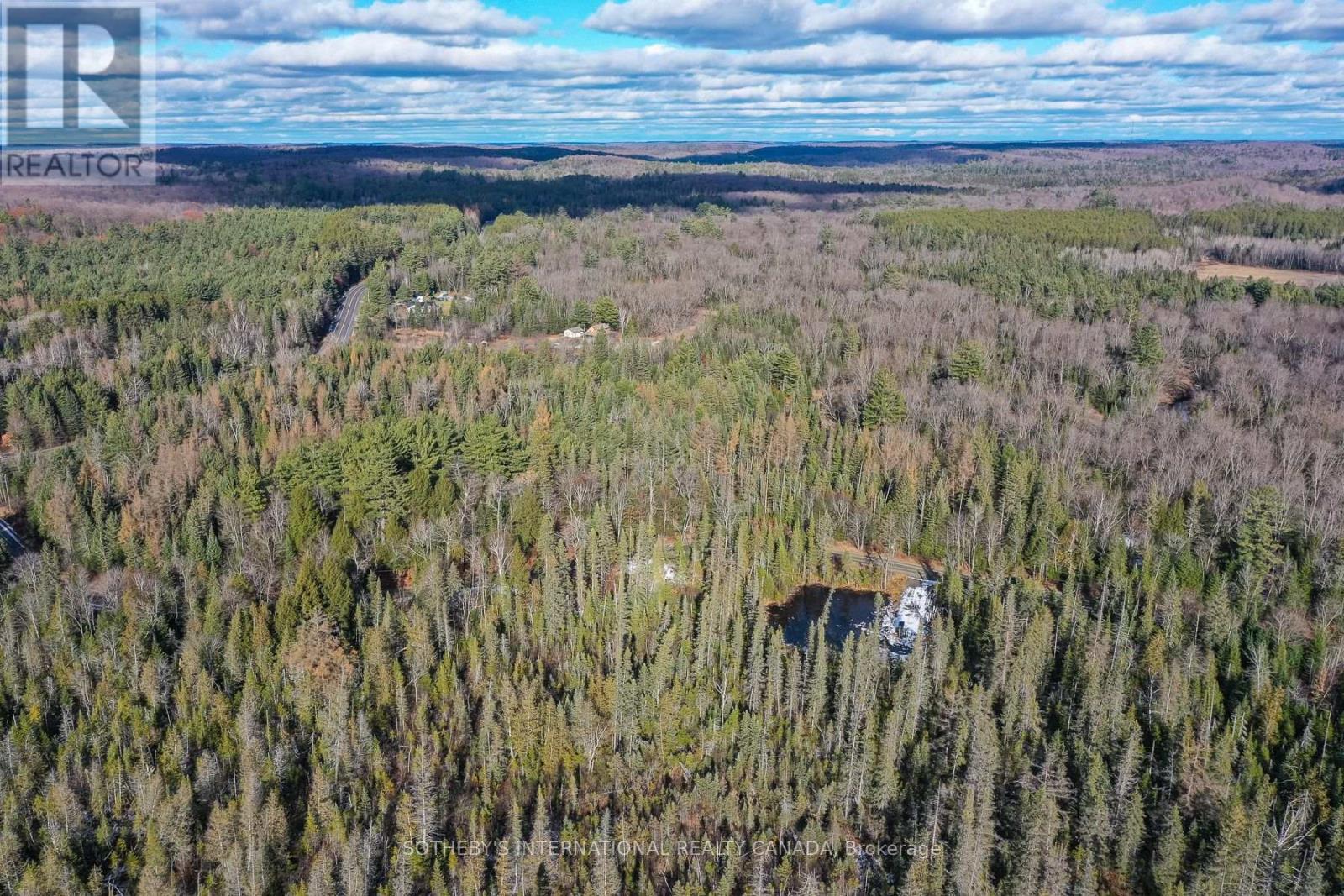 1022 Thompson Road, Bracebridge, Ontario  P1L 1X1 - Photo 4 - X13697176