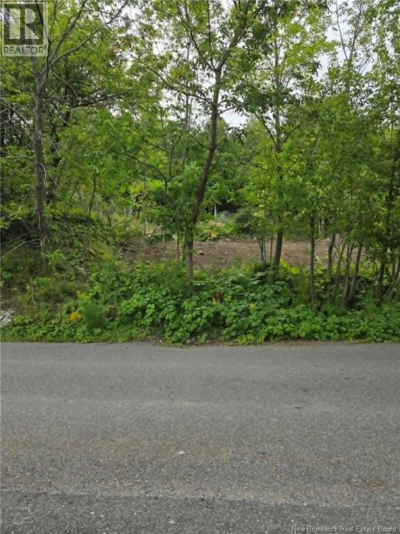 363 Highland Road, Saint John, New Brunswick  E2G 1A5 - Photo 7 - NB146182