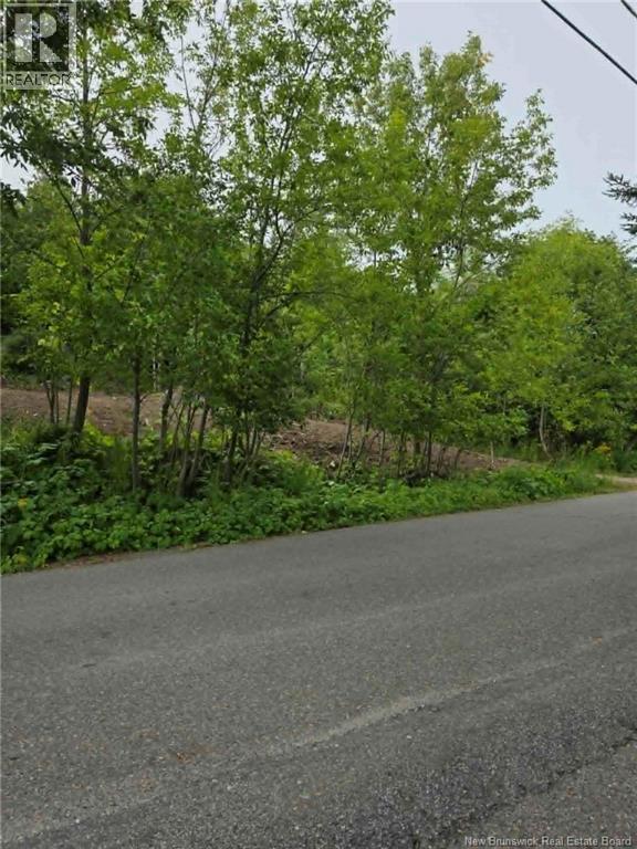 363 Highland Road, Saint John, New Brunswick  E2G 1A5 - Photo 8 - NB146182