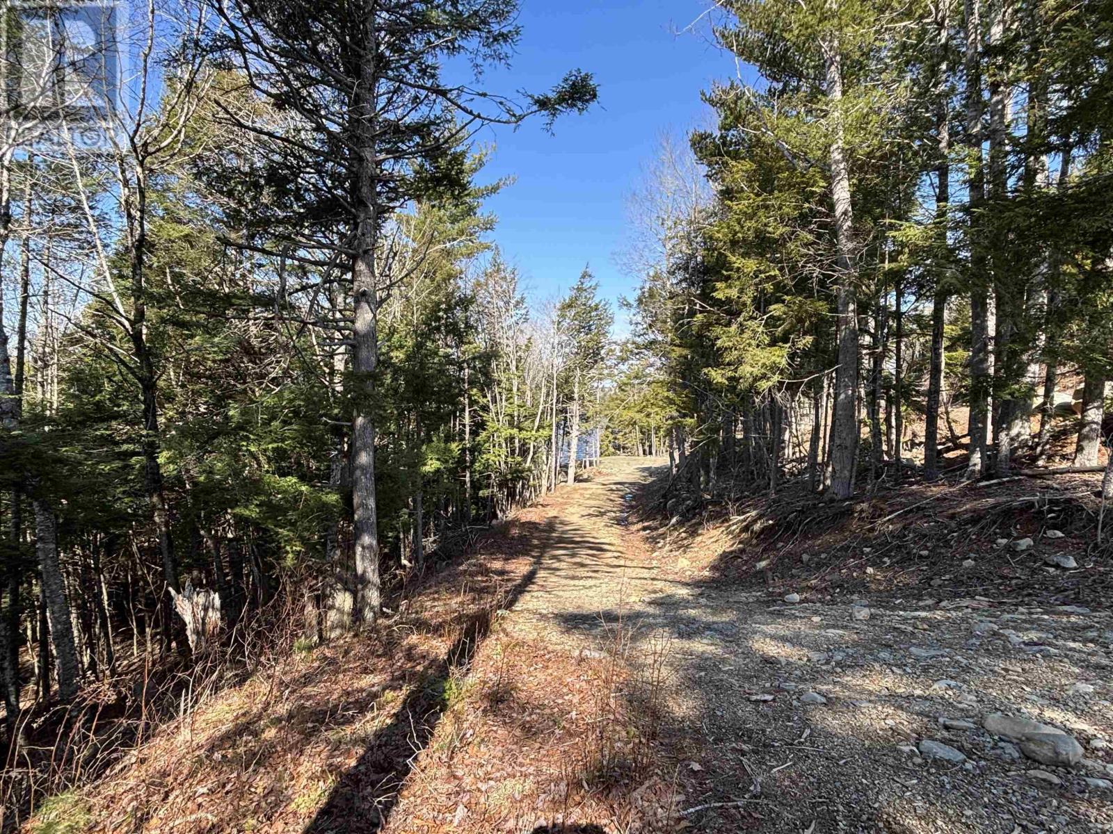 Lot 128 Nathan Croft Road, Camperdown, Nova Scotia B4V 6T9 - Photo 21 - 202606609
