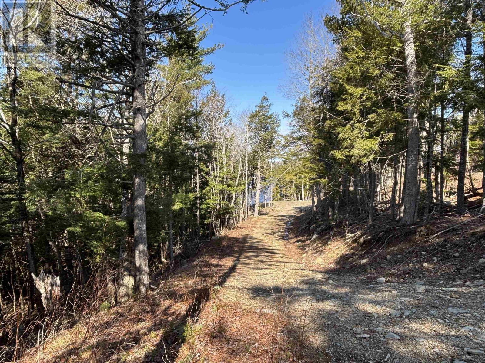 Lot 128 Nathan Croft Road, Camperdown, Nova Scotia B4V 6T9 - Photo 22 - 202606609