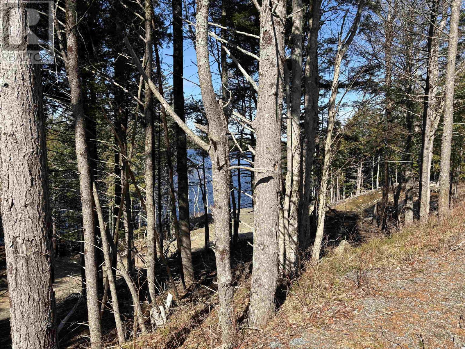 Lot 128 Nathan Croft Road, Camperdown, Nova Scotia B4V 6T9 - Photo 20 - 202606609
