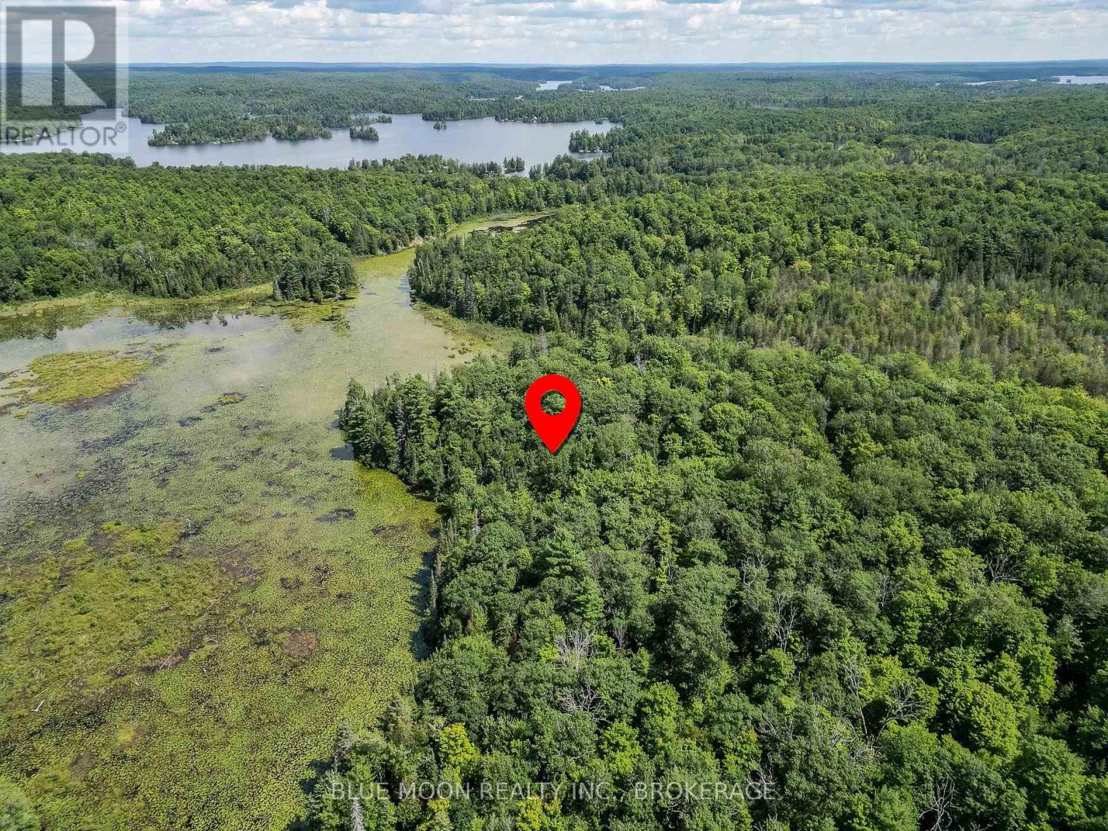 1531 Myers Cave Road, Frontenac, Ontario  K0H 1B0 - Photo 5 - X13690346