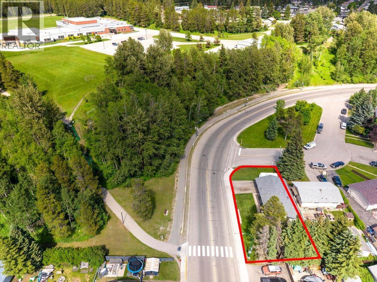316 Alpine Place, Sparwood, British Columbia  V0B 2G0 - Photo 59 - 10392263
