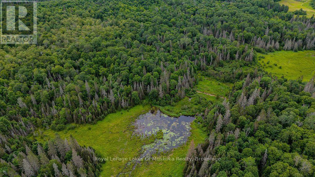 286 Halls Road E, Magnetawan, Ontario  P0A 1Z0 - Photo 10 - X13697500