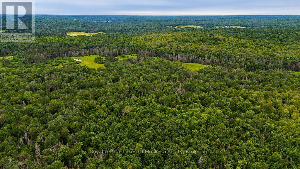 286 Halls Road E, Magnetawan, Ontario  P0A 1Z0 - Photo 11 - X13697500