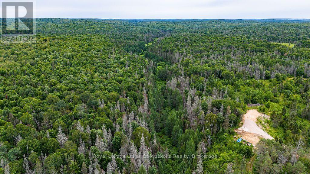 286 Halls Road E, Magnetawan, Ontario  P0A 1Z0 - Photo 12 - X13697500