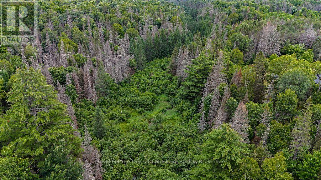 286 Halls Road E, Magnetawan, Ontario  P0A 1Z0 - Photo 14 - X13697500