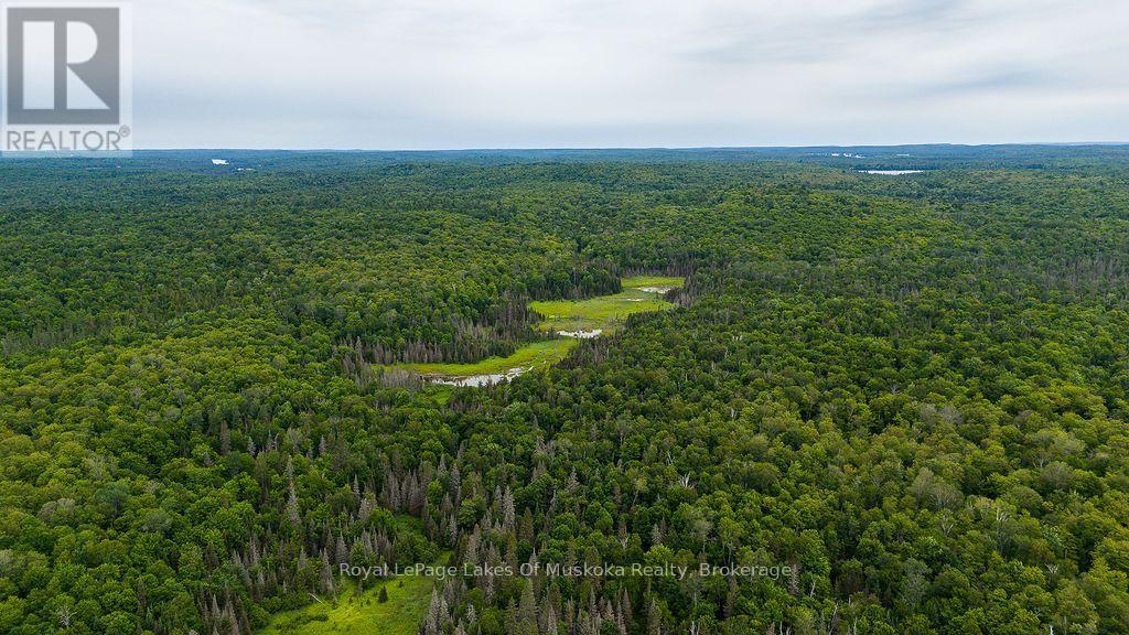 286 Halls Road E, Magnetawan, Ontario  P0A 1Z0 - Photo 16 - X13697500