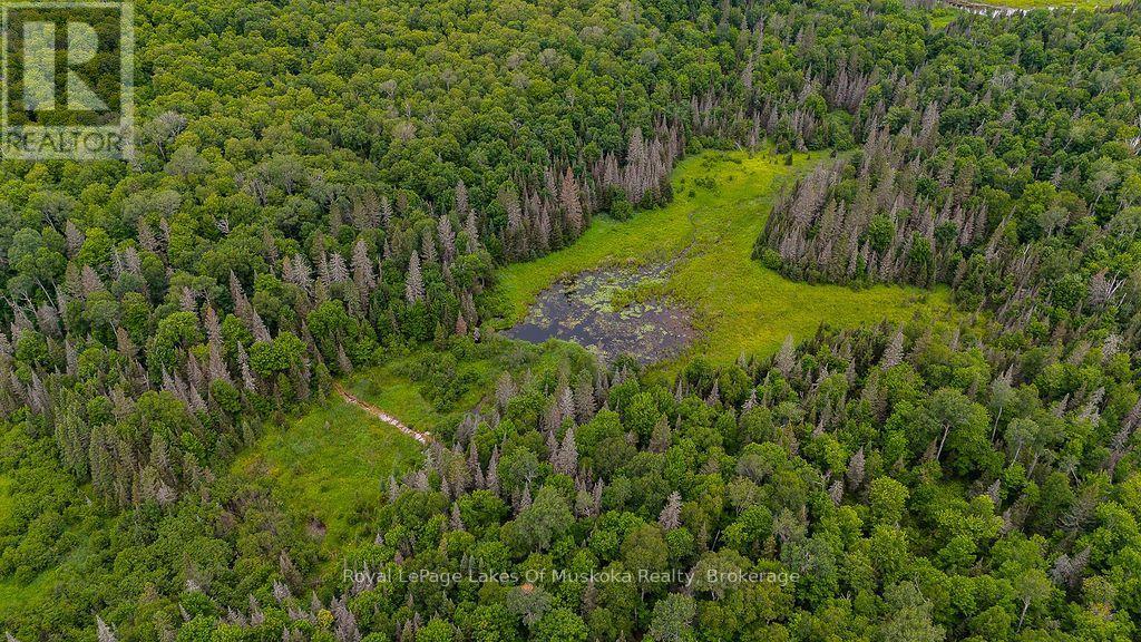 286 Halls Road E, Magnetawan, Ontario  P0A 1Z0 - Photo 17 - X13697500