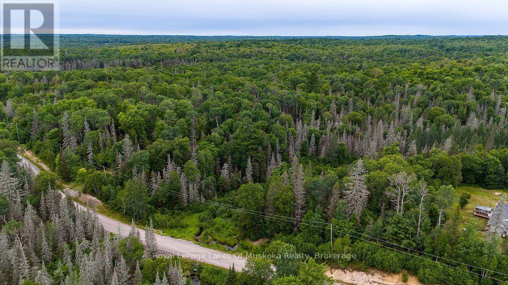 286 Halls Road E, Magnetawan, Ontario  P0A 1Z0 - Photo 2 - X13697500