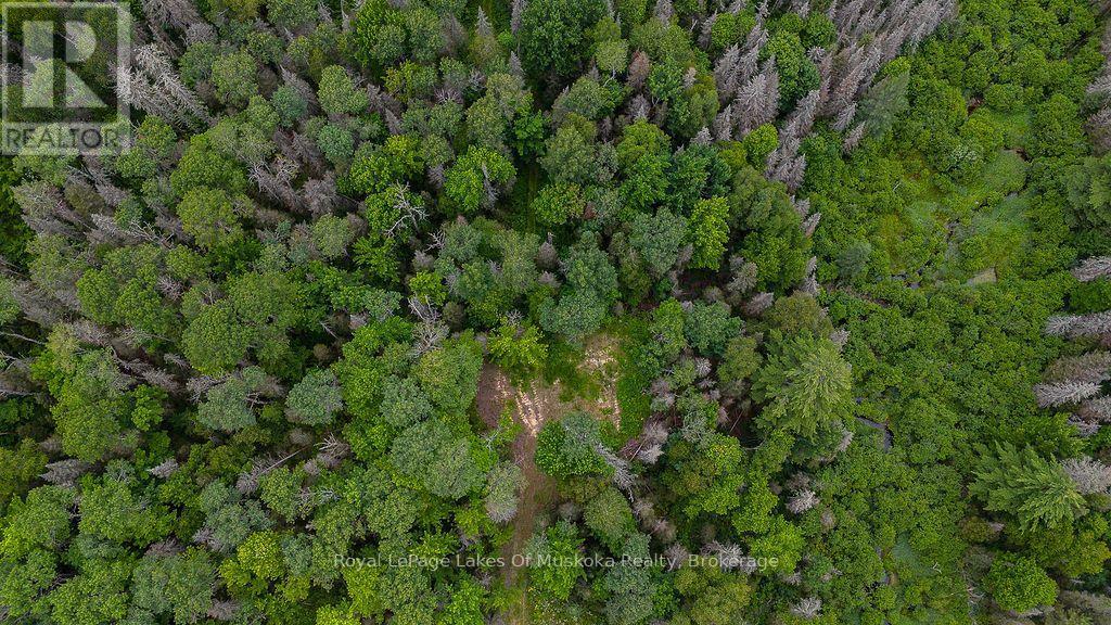 286 Halls Road E, Magnetawan, Ontario  P0A 1Z0 - Photo 20 - X13697500