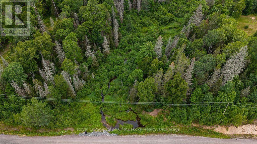 286 Halls Road E, Magnetawan, Ontario  P0A 1Z0 - Photo 25 - X13697500