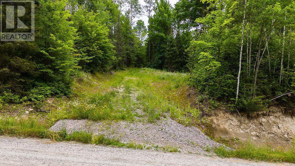 286 Halls Road E, Magnetawan, Ontario  P0A 1Z0 - Photo 3 - X13697500