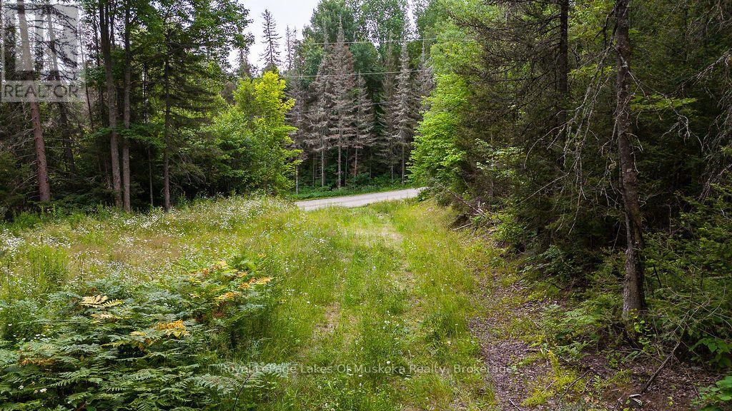 286 Halls Road E, Magnetawan, Ontario  P0A 1Z0 - Photo 4 - X13697500