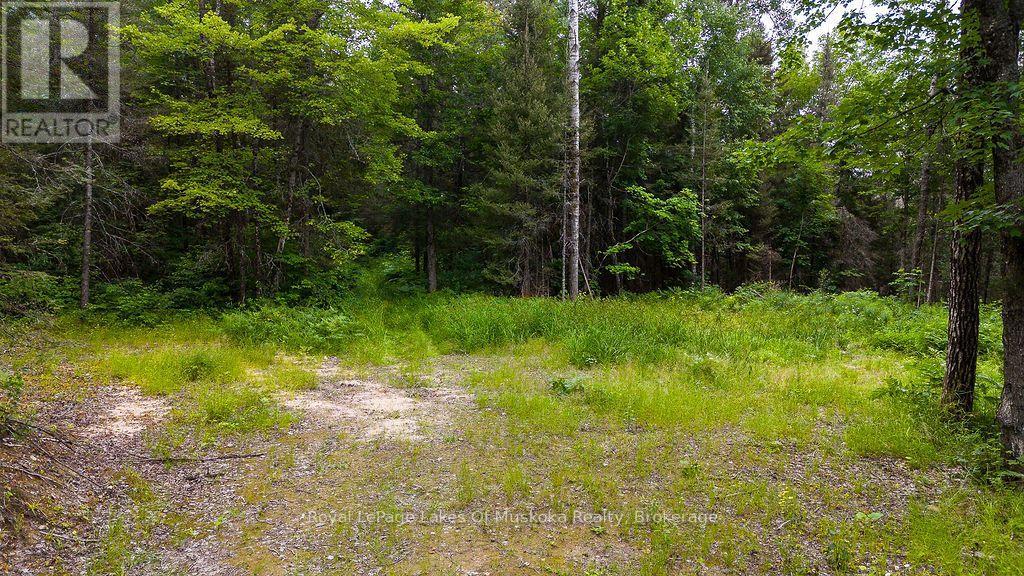286 Halls Road E, Magnetawan, Ontario  P0A 1Z0 - Photo 5 - X13697500
