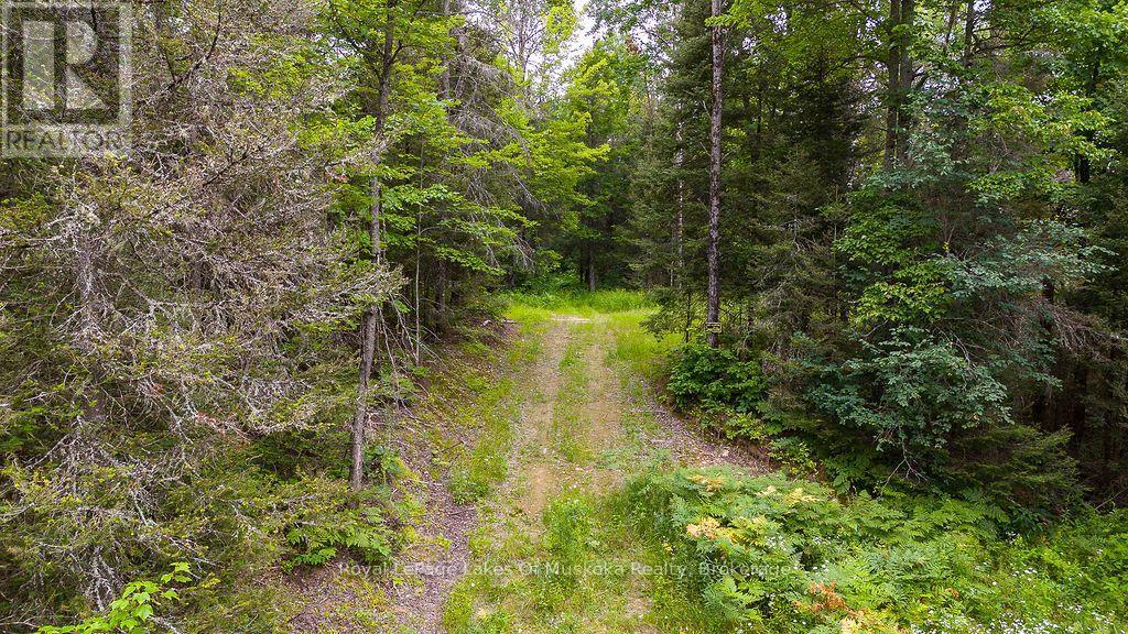 286 Halls Road E, Magnetawan, Ontario  P0A 1Z0 - Photo 6 - X13697500