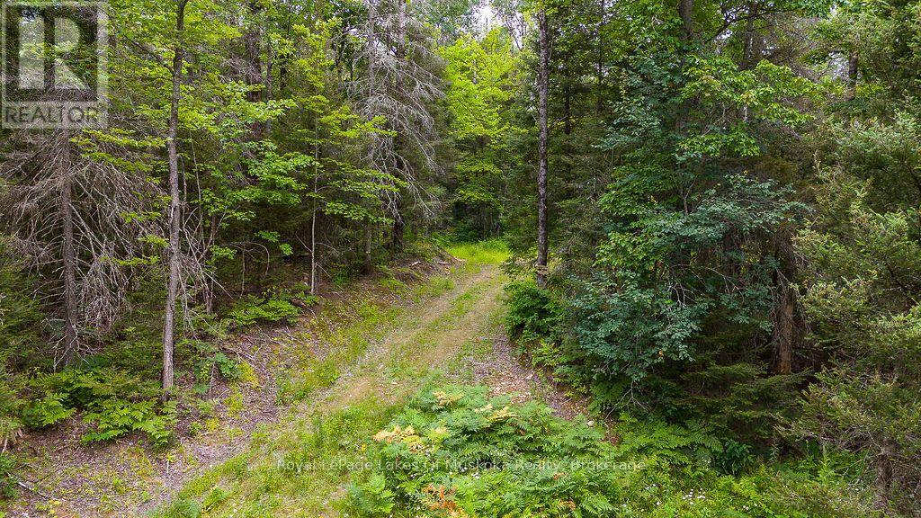 286 Halls Road E, Magnetawan, Ontario  P0A 1Z0 - Photo 7 - X13697500